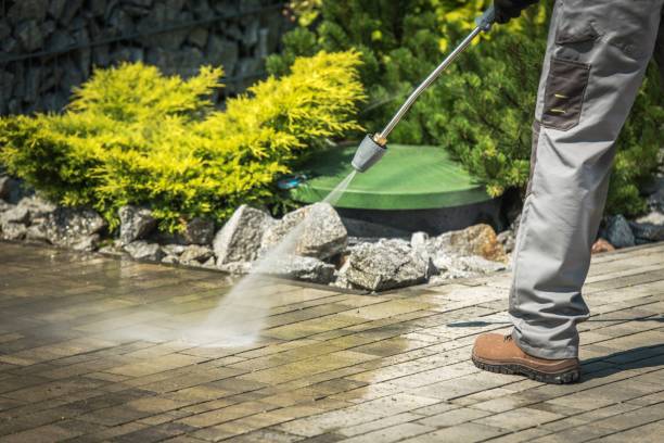 Best Spring Cleaning  in Lincoln, ND